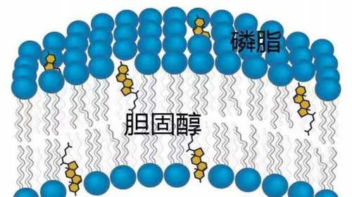 广州供卵试管代怀生子医院排名，附供卵生男孩费用一览！_代孕哪家好