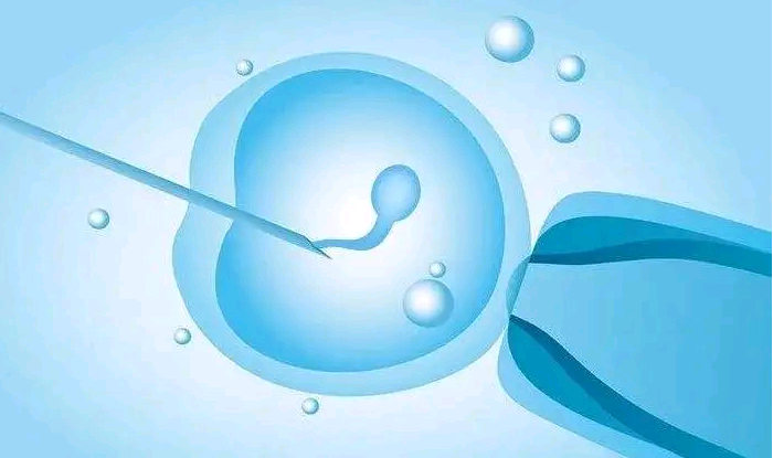 广州我私人想找个代孕的|合肥901医院做供卵试管婴儿大概多少钱？2023
合肥90
