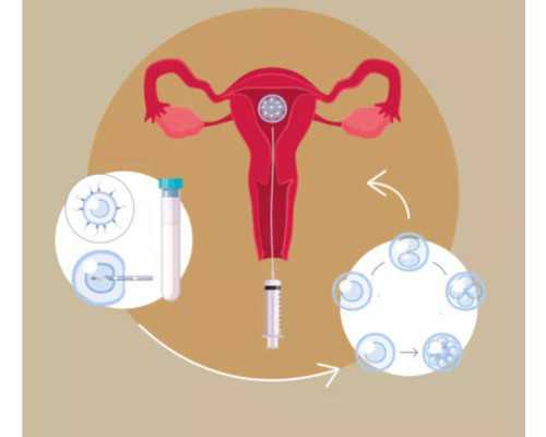 广州专业试管代孕包成功|香港三代试管可以选择性别