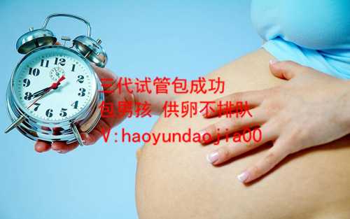 广州供卵助孕成功率_供卵的危害和后果_孕早期无卵黄囊