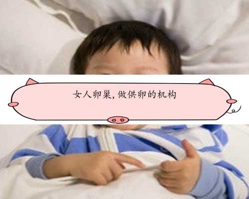 代孕年龄4O岁成功率是多少&供卵供精是合法的吗&2022深圳市罗湖区人民医院试管
