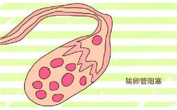 广州供卵试管具体费用 2022广州南方医院试管婴儿成功率： ‘4个月男女宝宝b超