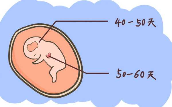 有广州代孕的群吗 广州试管婴儿成功率比较高的公立医院有哪些 ‘b超单男宝孕