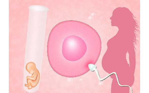 广州供卵生二胎 2022年广州做三代试管婴儿详细费用，费用列表 ‘孕囊25×15是男