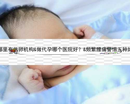 中国哪里有供卵机构&做代孕哪个医院好？&频繁腰痛警惕五种妇科病
