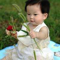 广州单身可以做代孕的吗_广州市妇女儿童医疗中心三代试管婴儿吗