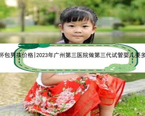 广州代怀包男孩价格|2023年广州第三医院做第三代试管婴儿要多少钱？